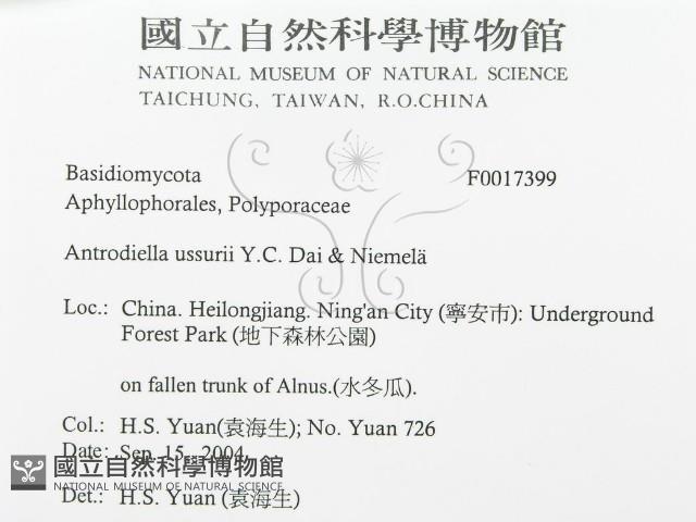 登錄號:F0017399藏品圖，第3張