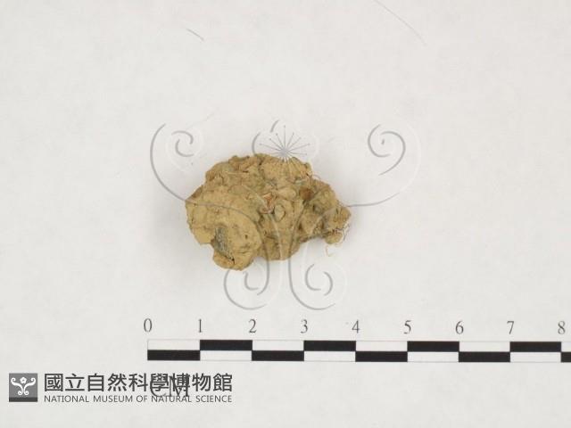 登錄號:F0005399藏品圖，第1張