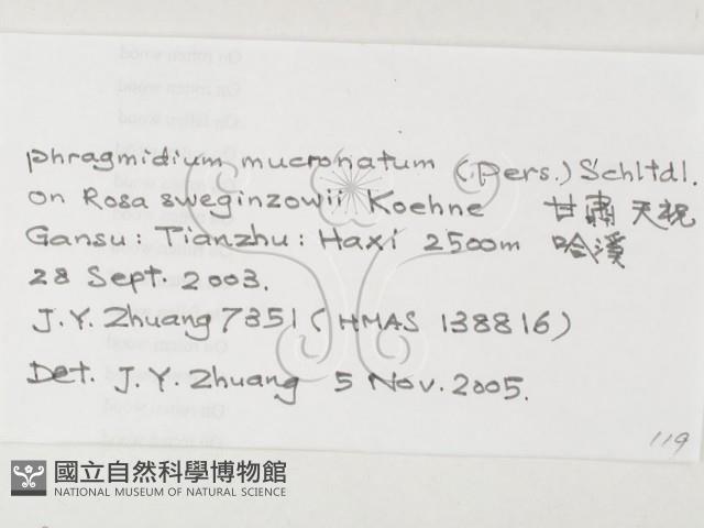 登錄號:F0026289藏品圖，第3張