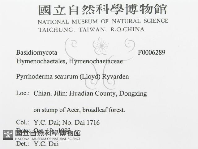 登錄號:F0006289藏品圖，第3張