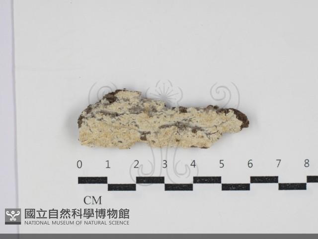 登錄號:F0034289藏品圖，第1張