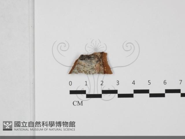 登錄號:F0032289藏品圖，第1張