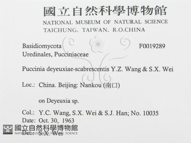 登錄號:F0019289藏品圖，第3張