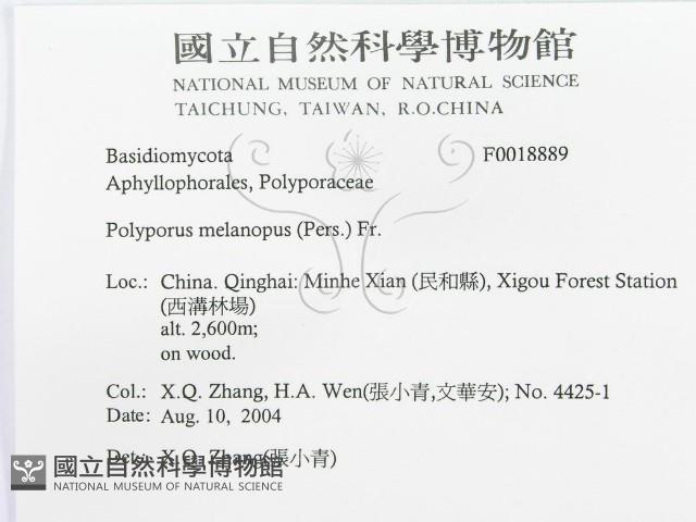 登錄號:F0018889藏品圖，第3張