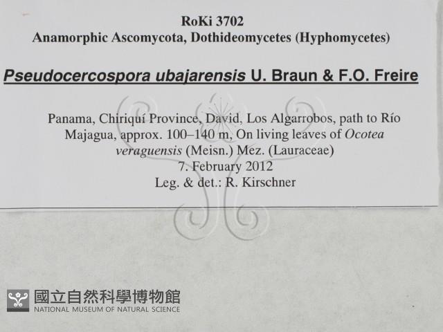 登錄號:F0027889藏品圖，第3張