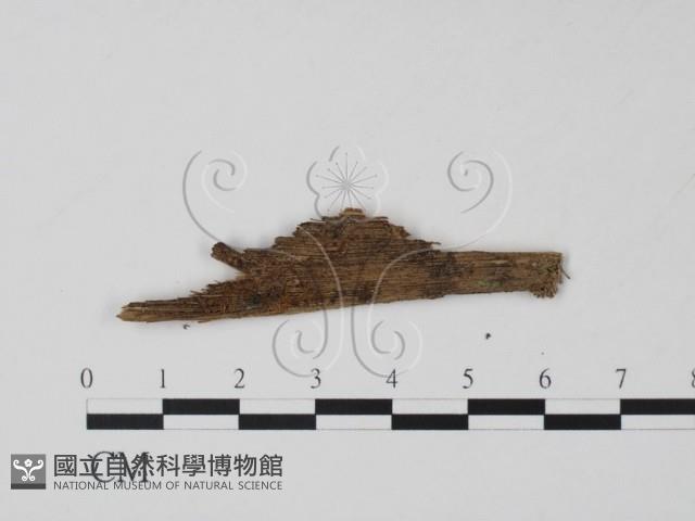 登錄號:F0017889藏品圖，第1張