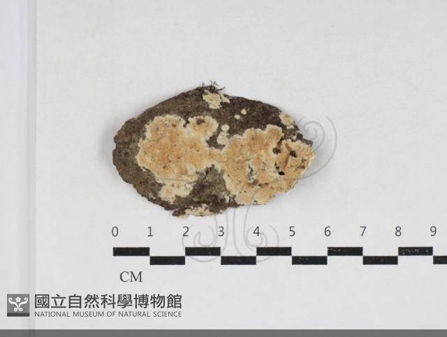 登錄號:F0033889藏品圖，第1張