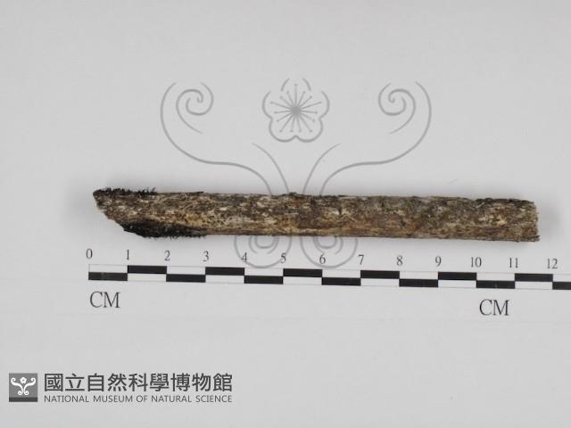 登錄號:F0030989藏品圖，第1張