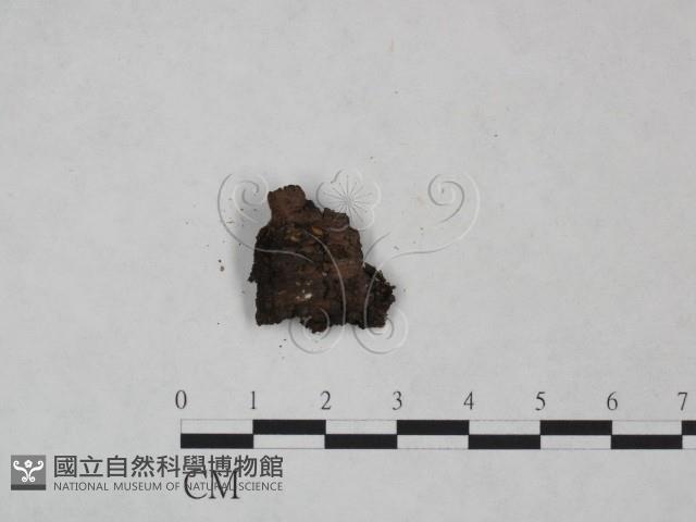 Accession Number:F0024989 Collection Image, Figure 1, Total 3 Figures