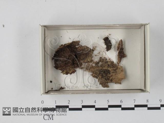 登錄號:F0017989藏品圖，第1張
