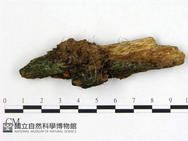 登錄號:F0005989藏品圖，第1張