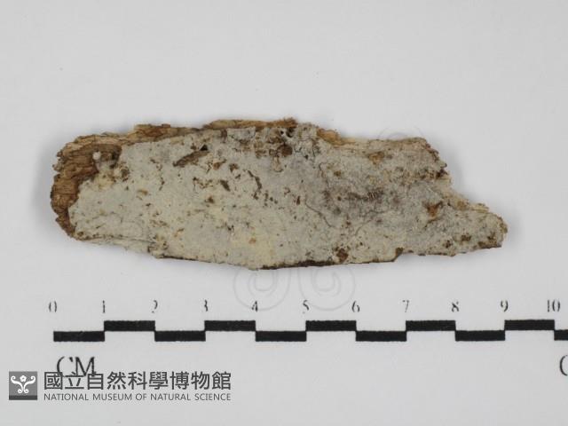 登錄號:F0029989藏品圖，第1張