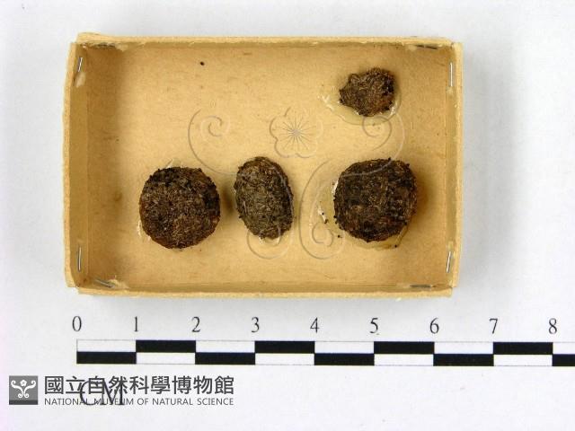 登錄號:F0004689藏品圖，第1張
