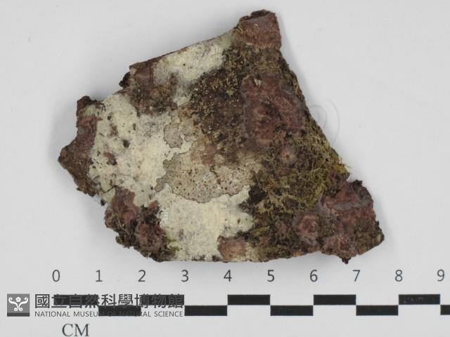 登錄號:F0032689藏品圖，第1張