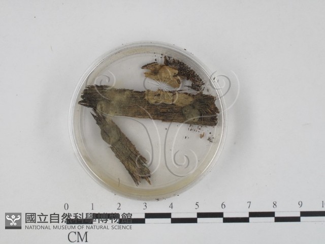 登錄號:F0005689藏品圖，第1張