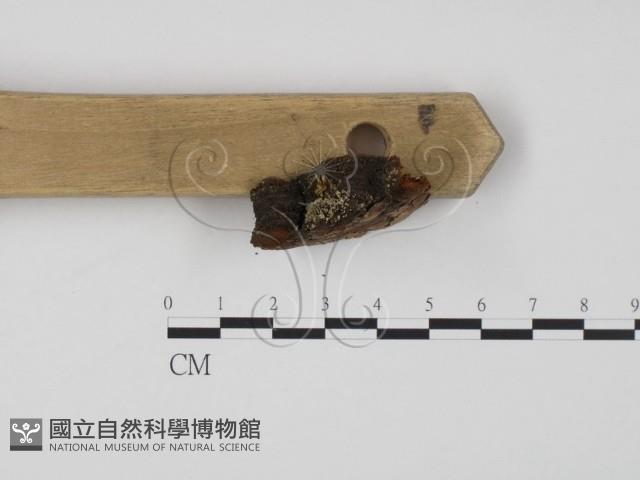 登錄號:F0011489藏品圖，第1張