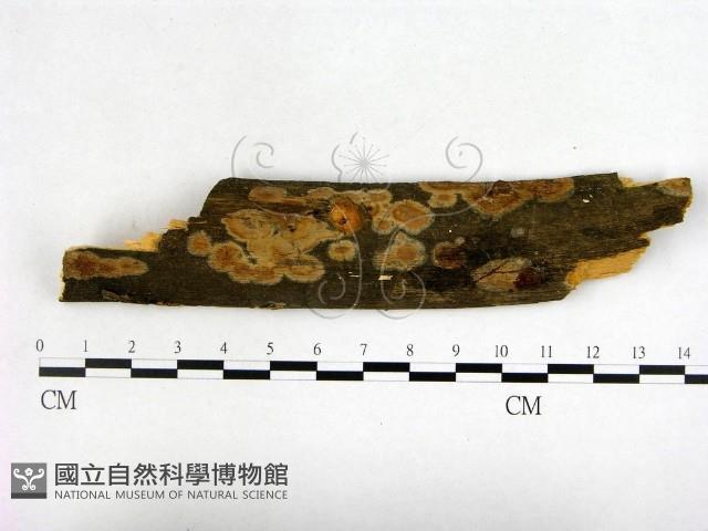 登錄號:F0002789藏品圖，第1張