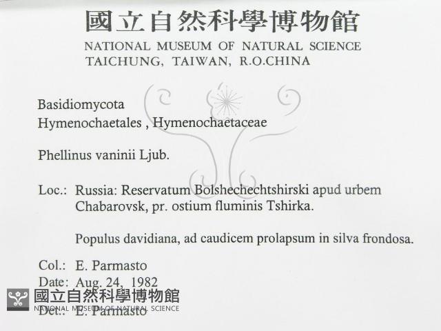 登錄號:F0015789藏品圖，第3張