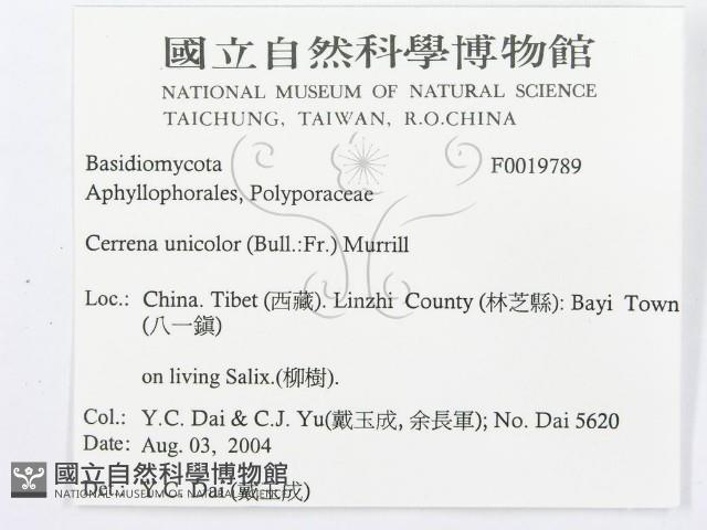 登錄號:F0019789藏品圖，第3張