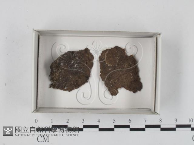 登錄號:F0018589藏品圖，第1張