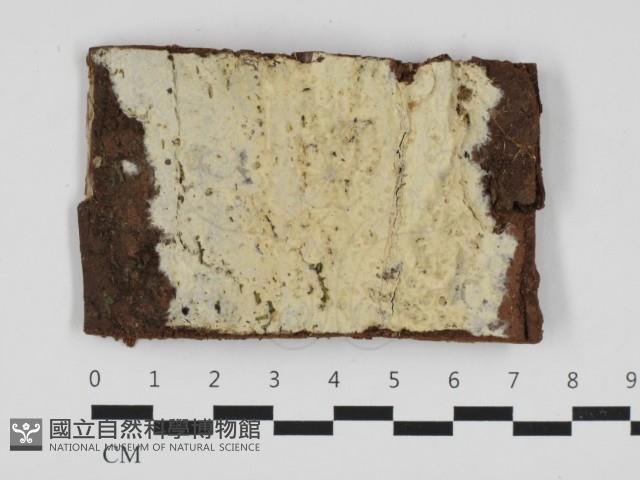 登錄號:F0032589藏品圖，第1張