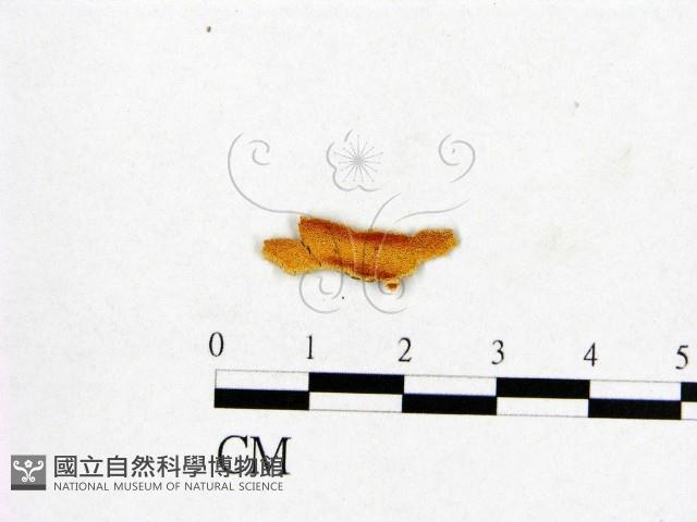 登錄號:F0017589藏品圖，第1張