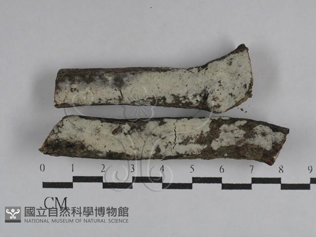 登錄號:F0029589藏品圖，第1張