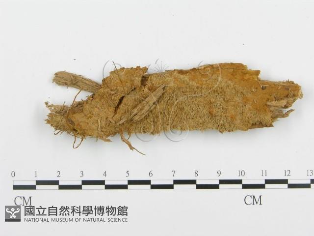 登錄號:F0008189藏品圖，第1張