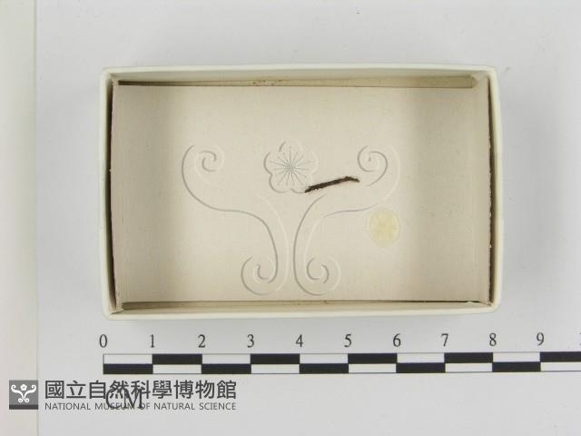 登錄號:F0021189藏品圖，第1張