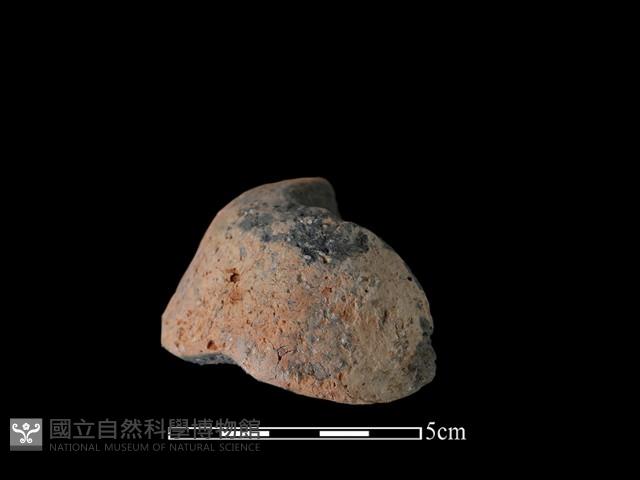 陶紡輪藏品圖，第1張
