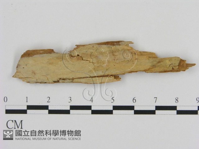 登錄號:F0003189藏品圖，第1張