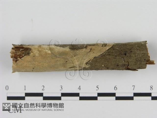 Accession Number:F0010089 Collection Image, Figure 1, Total 3 Figures