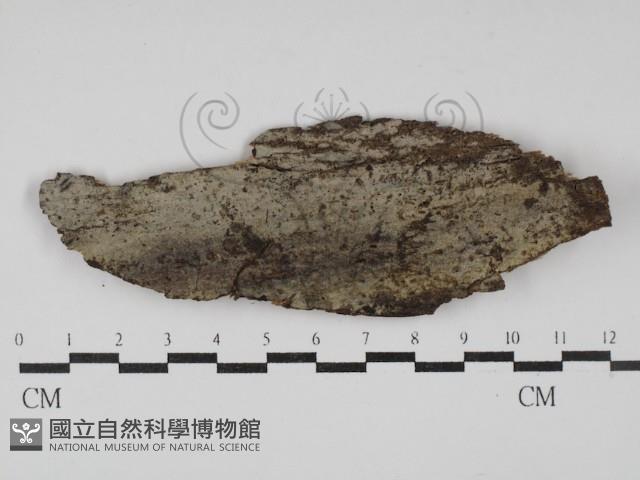 登錄號:F0030089藏品圖，第1張