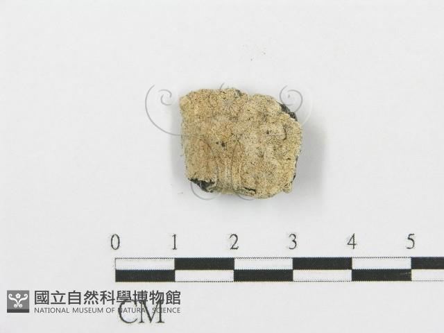 登錄號:F0006089藏品圖，第1張
