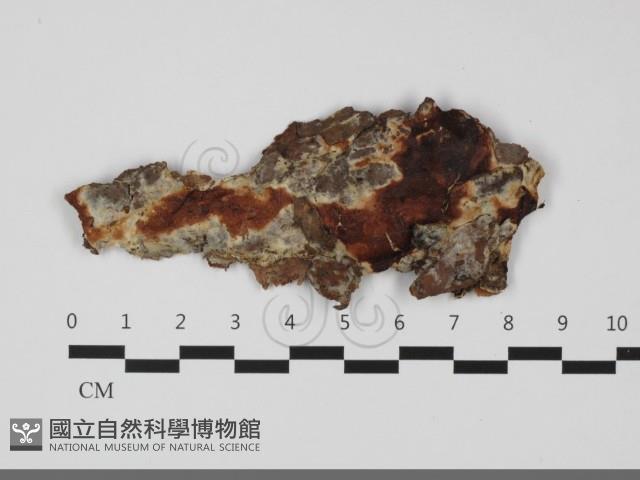 登錄號:F0032089藏品圖，第1張