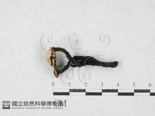 登錄號:F0027089藏品圖，第1張