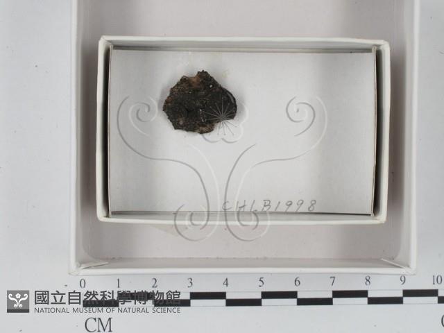 登錄號:F0018389藏品圖，第1張