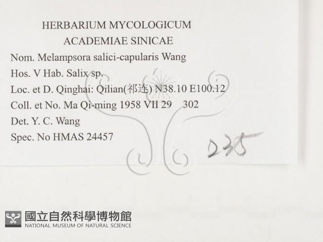 登錄號:F0026389藏品圖，第3張