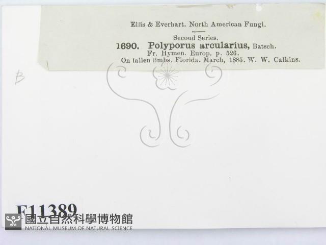 登錄號:F0011389藏品圖，第3張