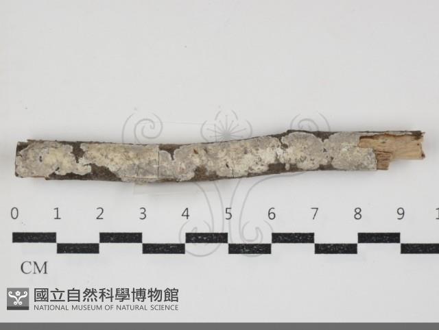 登錄號:F0034389藏品圖，第1張