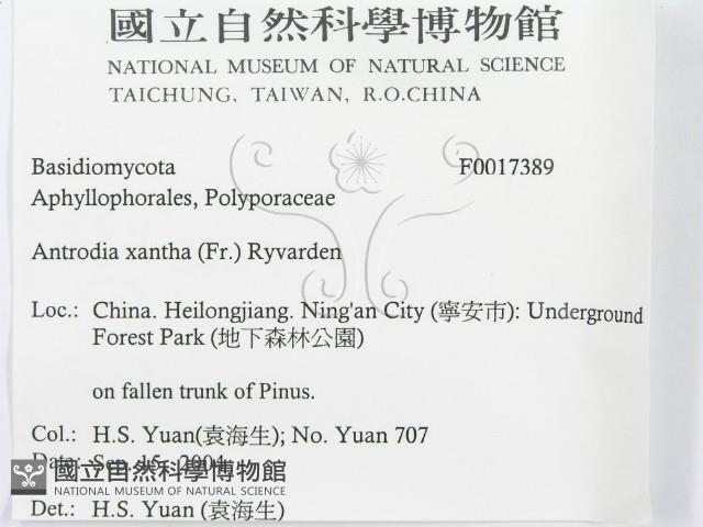 登錄號:F0017389藏品圖，第3張