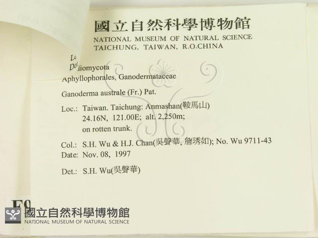 登錄號:F0009389藏品圖，第3張