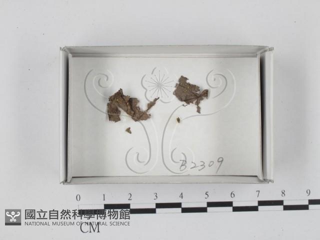 登錄號:F0018239藏品圖，第1張