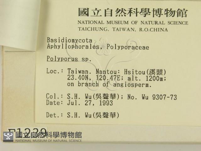 登錄號:F0001239藏品圖，第3張