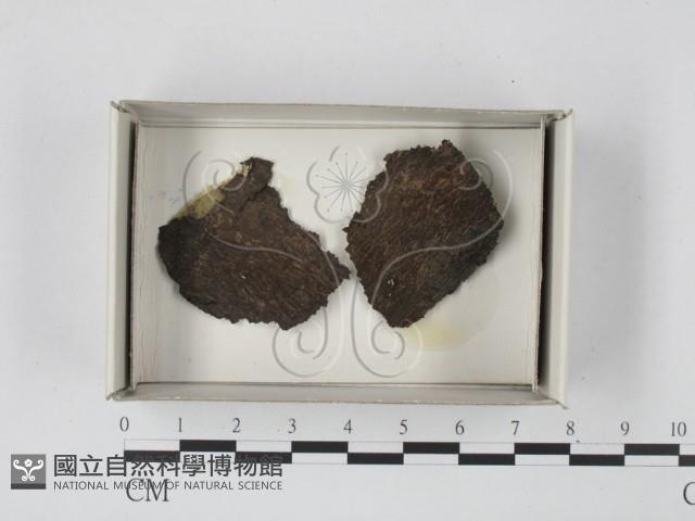 登錄號:F0018139藏品圖，第1張