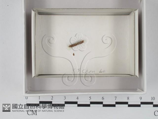 登錄號:F0018039藏品圖，第1張