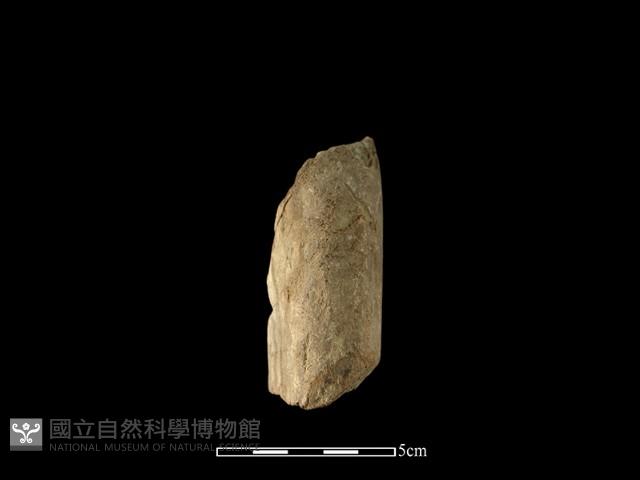 石材藏品圖，第1張