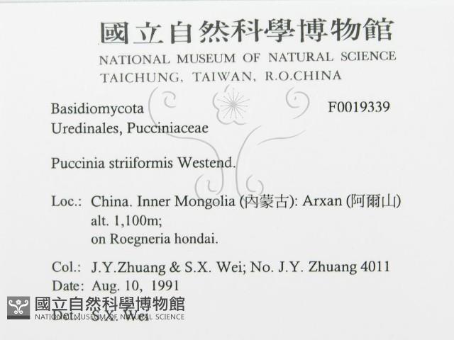 登錄號:F0019339藏品圖，第3張