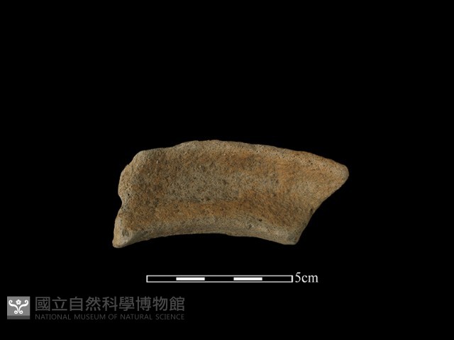 陶罐藏品圖，第2張