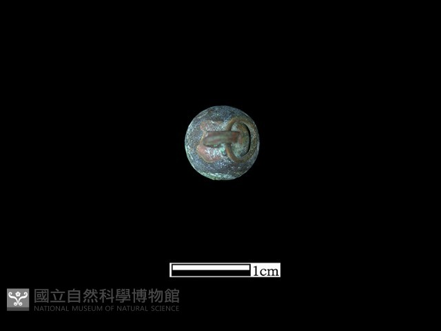 墜飾藏品圖，第1張